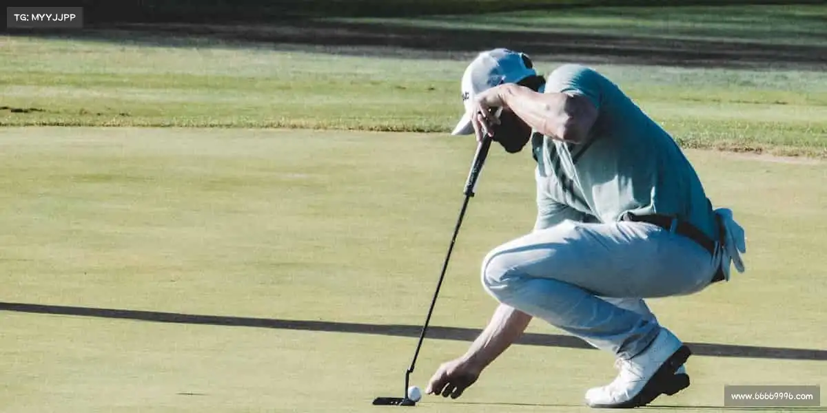 为什么选择我们